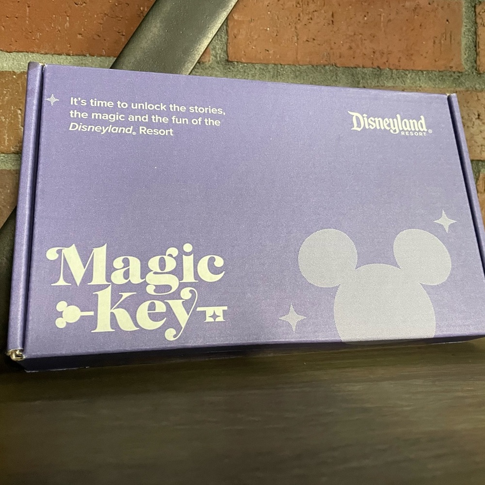NWB Disneyland Magic Key Exclusive Promo Box